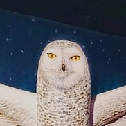 �����, 36 ���, ������������