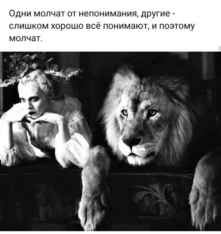 ***Victoria Viktorovna*** - 18  2024  03:25