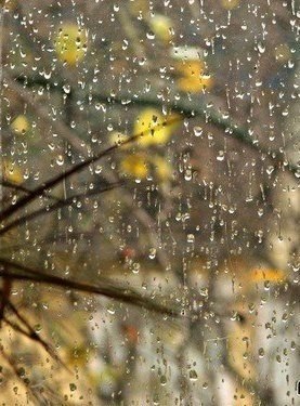    - 9  2025  20:16 - 6