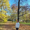 ���� ������, ������-��-���� - ��������� 29 ������� 2025 � ������ ���� ����������