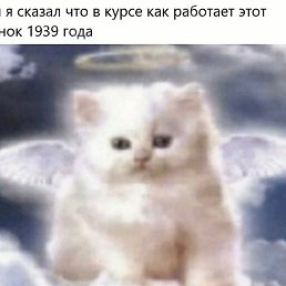 ����, �������, 28 ���