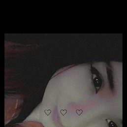 �����, ����������, 24 ����