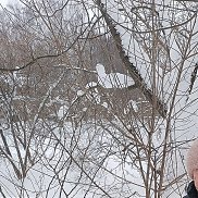 �������, 54 ����, ������-��-����