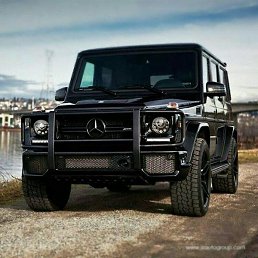 Sherxon, �����, 31 ���