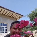 ���� �����, ����, 51 ��� - ��������� 20 ��� 2025 � ������ ���� ����������