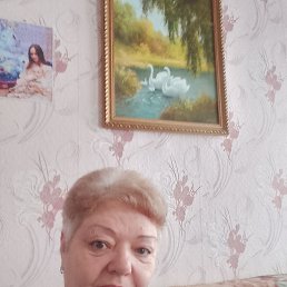 , 65, 