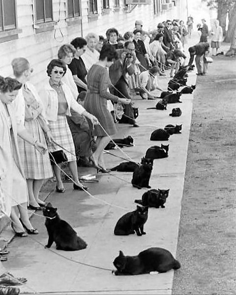  1961           .  150  ... - 6