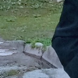 �����, �����-���������, 27 ���