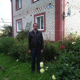 , 50,  