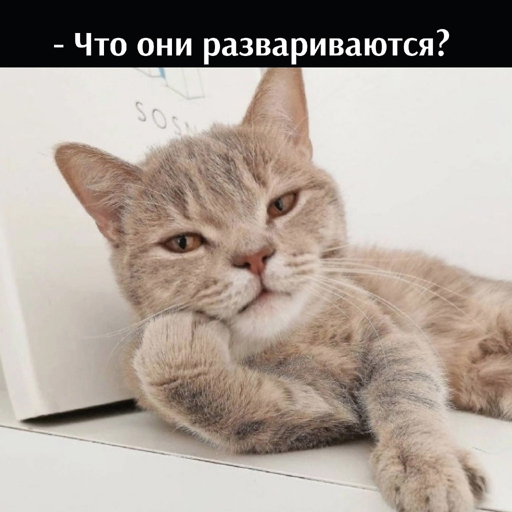 ��� ���� � ����� �� �� - 11 ����� 2026 � 18:00 - 2