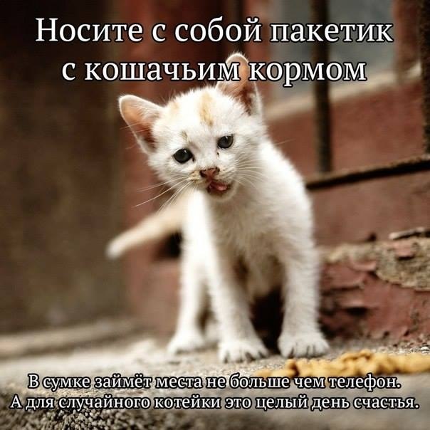 ������ �����!!!