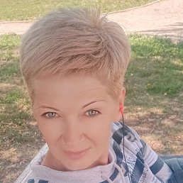 , 53,  