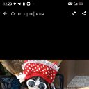 ���� ������, ������, 40 ��� - ��������� 26 ������ 2025 � ������ ���� ����������