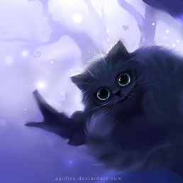 �����+�������, ��������