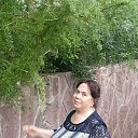���� �����, �������� - ��������� 15 ������ 2026 � ������ ���� ����������