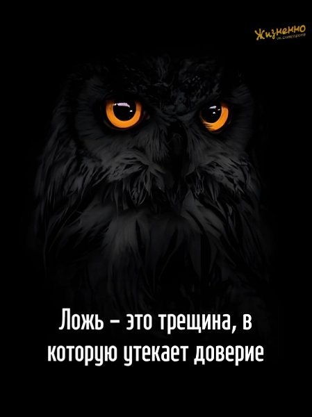  - 3  2025  07:42