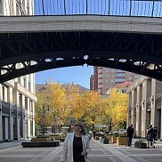 �����, 48 ���, ���