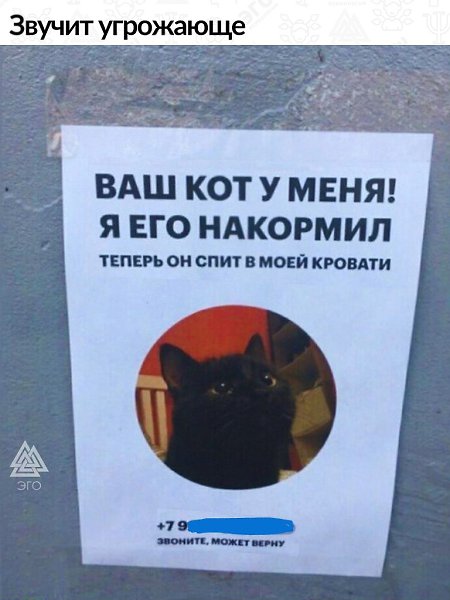 Однозначно одно из самых милых объявлений