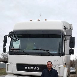 ��������, �������, 55 ���