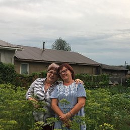 �������, �����, 66 ���