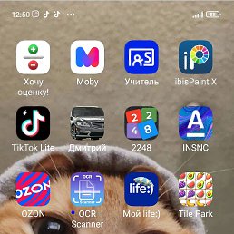 ���� ��������, �����, 49 ��� - ��������� 11 ������ 2026