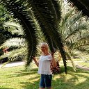 ���� �������, �����-��������� - ��������� 18 ������� 2026 � ������ ���� ����������