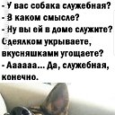 ���� ��������, ��������, 54 ���� - ��������� 10 ������ 2024 � ������ ���� ����������
