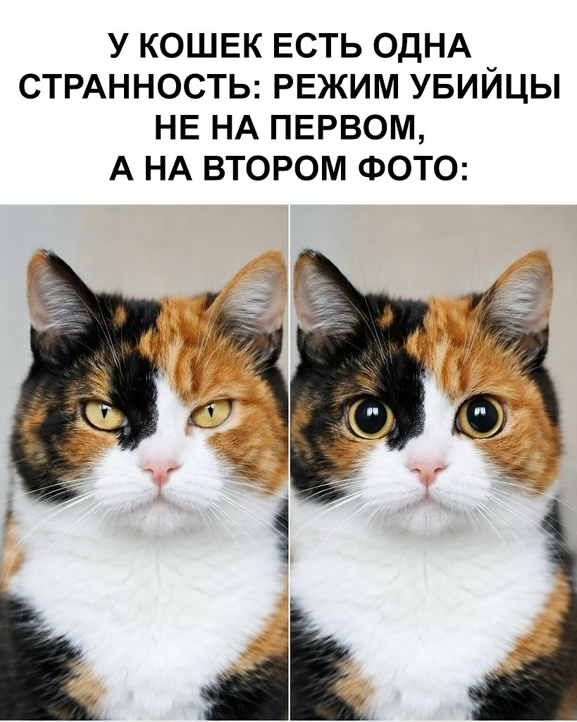 ������ ��� ���������, � ������ ������ �����������!�