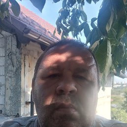 , 53, 