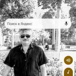 , 54, 