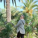 ���� �����, ������, 40 ��� - ��������� 9 ������ 2026