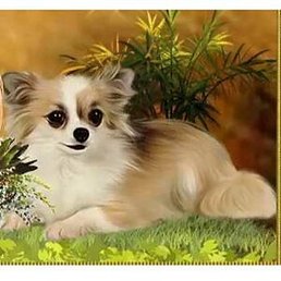 -�������, ������, 52 ����