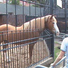 Valentina, ��������, 47 ���