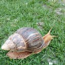 ���� �������, ����������� - ��������� 12 ������ 2025 � ������ ������ ��������