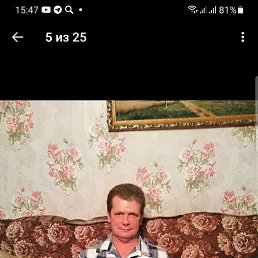, 51, 