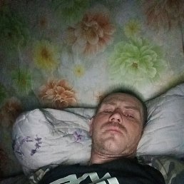 ������, �����������, 37 ���