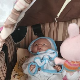 ������, �����, 22 ����