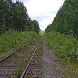 �����, ������, 46 ���