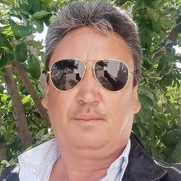 �����, ������, 55 ���