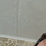 , 47 , 