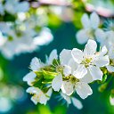 ���� �����, ������, 59 ��� - ��������� 30 ������ 2026 � ������ ������ ��������