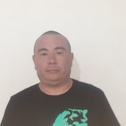 , 42, 