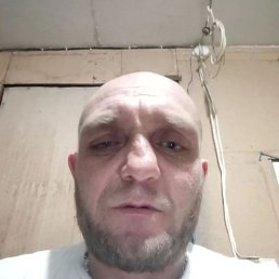 ���� ����, ������, 42 ���� - ��������� 12 ������� 2026