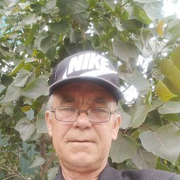 , 56, 