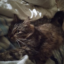 �����, ������, 25 ���