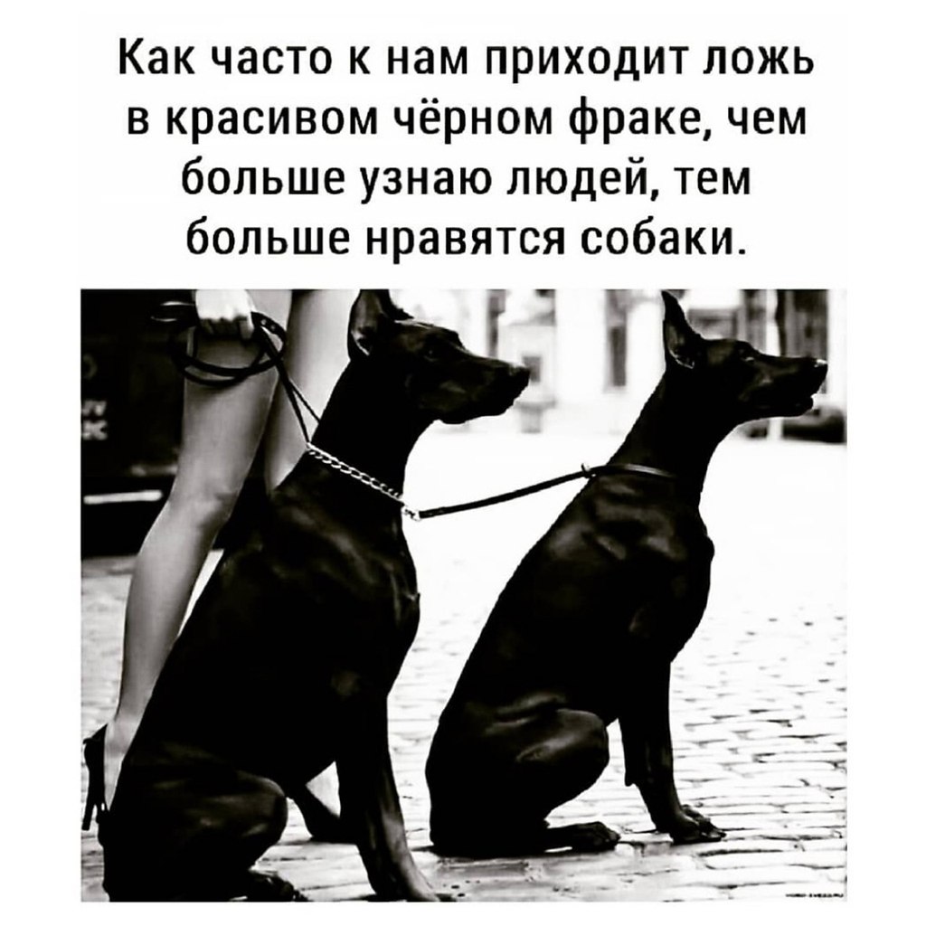   - 1  2024  20:19