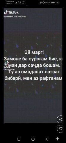 ���� ����, �������, 49 ��� - ��������� 17 ������� 2024