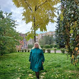 �������, ����������, 47 ���