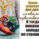 ���� �������, ���������, 69 ��� - ��������� 26 ����� 2026 � ������ ������ ��������
