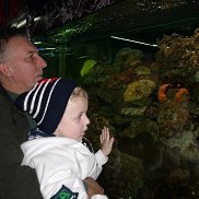 �����, 73 ����, ������